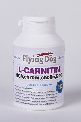 Flying Dog L – CARNITINE PLUS