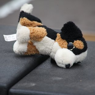 Foto: Mareks Gaļinovskis