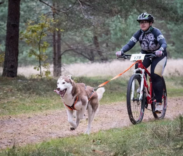 Jūlija Osipova un Ragnārs
