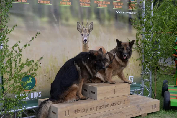 Foto: Ģirts Freijs