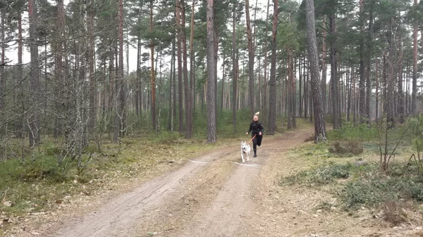 26.03.2017. Treniņš